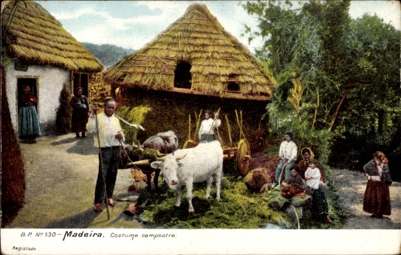 KP Madeira Island Portugalia, gospodarstwo rolne, rolnicy, krowy