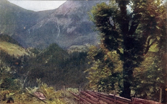Ak Kärnten Österreich, Motiv im Zelltal