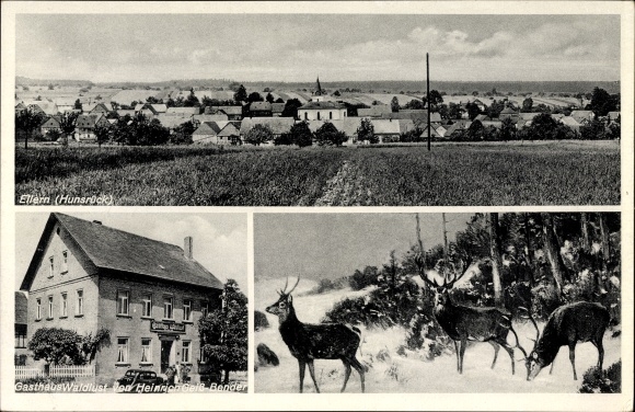PC Ellern im Hunsrück, Inn Waldlust, owner Heinrich Geiss Bender, deer in winter