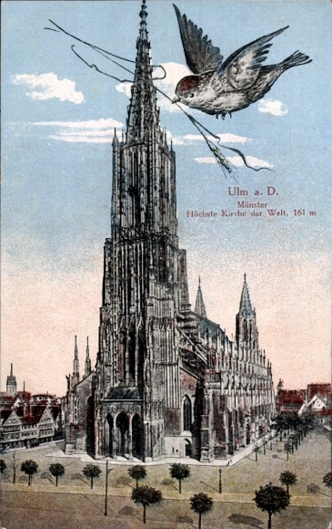 Postcard Ulm an der Donau, Münster, Spatz