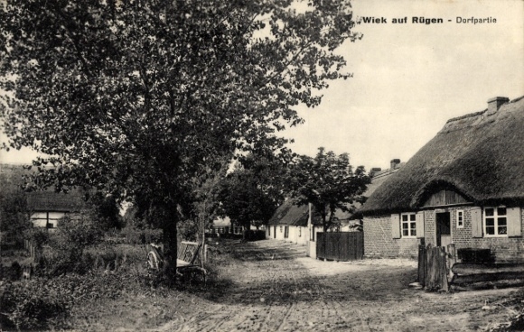 Ak Wiek op Rügen, dorpsgezicht, rietgedekte huizen, bomen, landelijk landschap