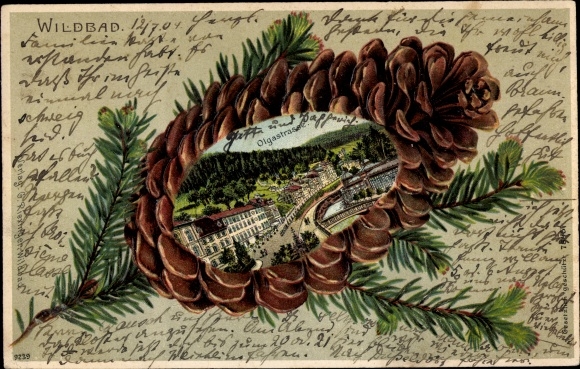 Embossed litho fir cones Bad Wildbad in the Black Forest, Olgastraße