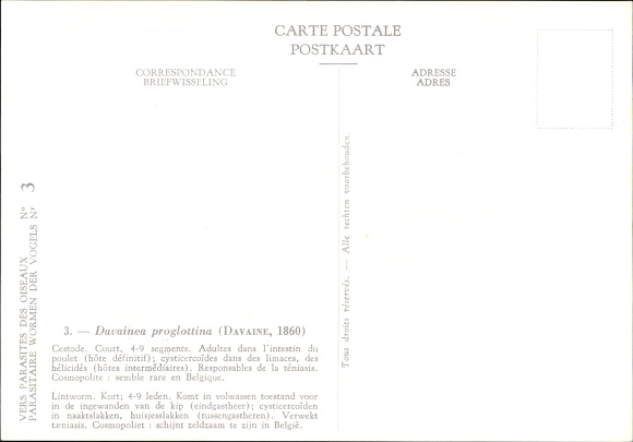 Postcard Davainea proglottina, Bandwurm, Parasit, Royal Belgian Institute of Natural Sciences