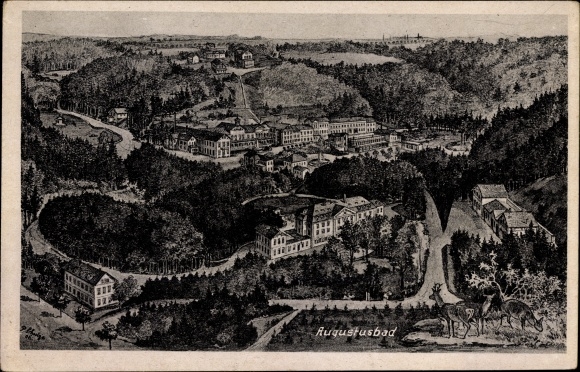 Ak Liegau Augustusbad Radeberg, Blick auf den Ort mit Umgebung, Rehe