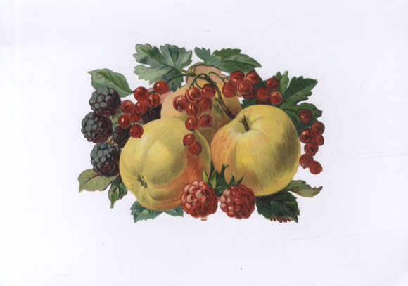 Oblate Äpfel und Beeren, ca. 12 x 17 cm