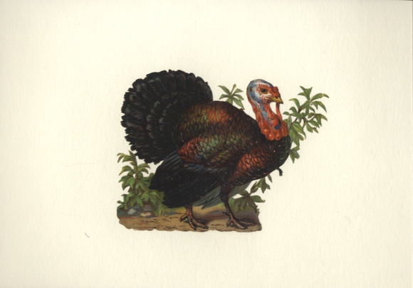 Wafer turkey, size approx. 11 x 15.5 cm