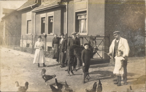 Zdjęcie KP Weferlingen w Saksonii-Anhalt, budynek mieszkalny, mieszkańcy, kury