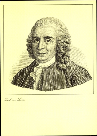 Artysta KP przyrodnik Carl von Linne, portret