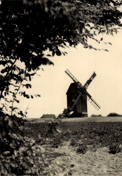 Postcard Michendorf in der Mark, Old Mill