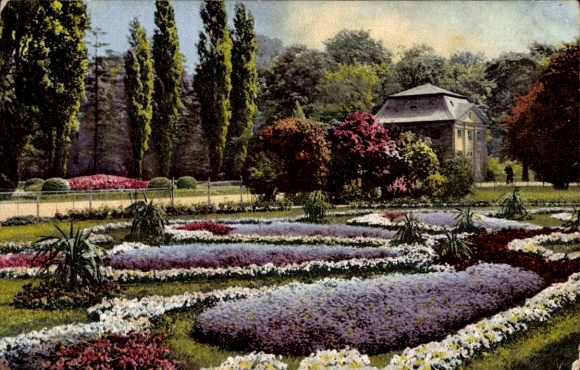 Ak Dresden, Garten, Blumen