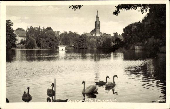 Ak Neugersdorf in der Lausitz, Schwanen auf dem Wasser, eine Kirche im Hintergrund, idyllische...