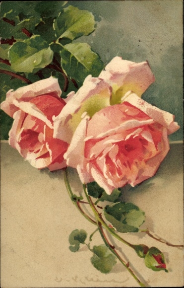 Artist PC Catharina Klein, pink roses, dew drops, Meissner &amp; book 2025