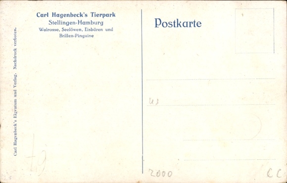 Artist Postcard de Bruycker, HvJ, Hamburg Eimsbüttel Stellingen, Carl Hagenbeck's Tierpark, Walruses
