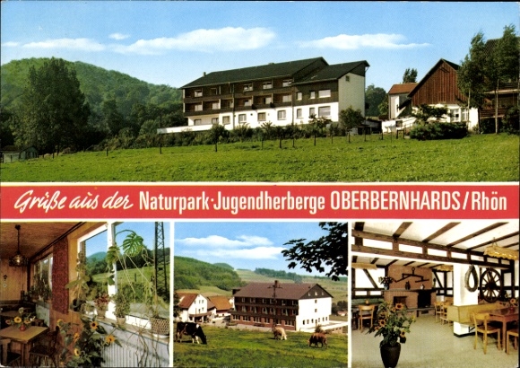 Ak Oberbernhards Hilders in de Rhön, natuurparkjeugdherberg, koeien