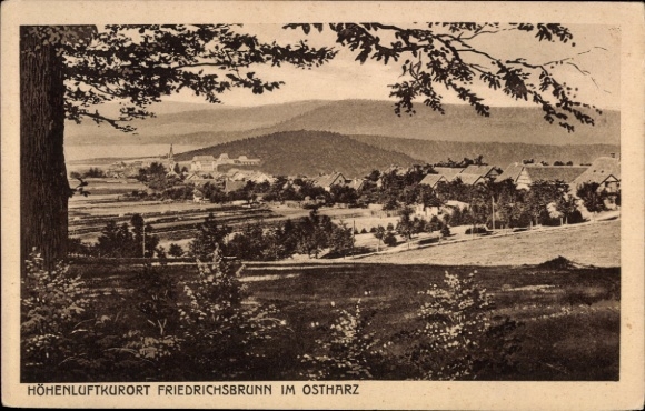 Ak Friedrichsbrunn Thale im Harz, Landschaftsaufnahme, Höhenluftkurort, Bäume im Vordergrund