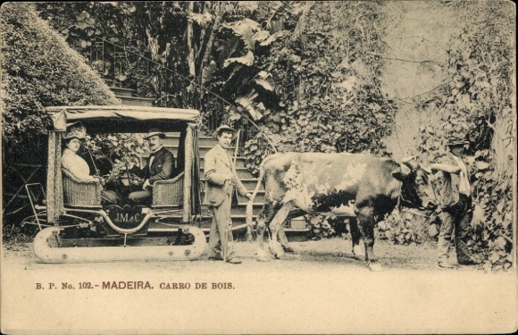 KP Madeira wyspa Portugalia, Carro de Bois