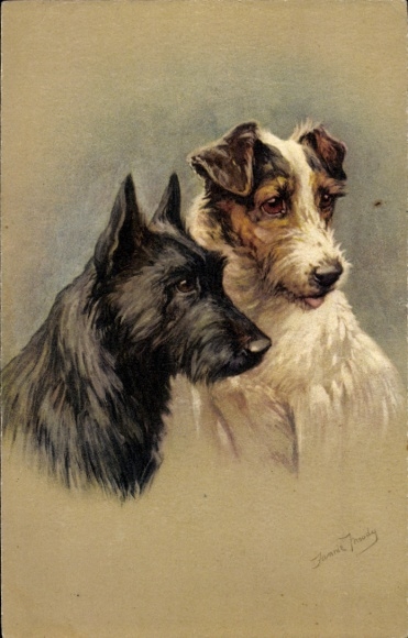 Artist Postcard dog portrait, two terriers