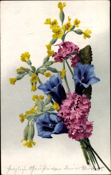 Postcard Nenke and Ostermaier 515 858, photochromia, flowers, gentians, primroses