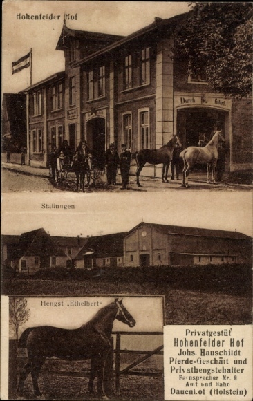 Ansichtkaart District Hohenfelde Steinburg Holstein, particuliere stoeterij Hohenfelder Hof, stallen, hengst Ethelbert