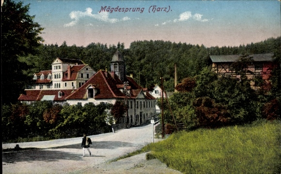 Ak Mägdesprung Harzgerode am Harz, Teilansicht