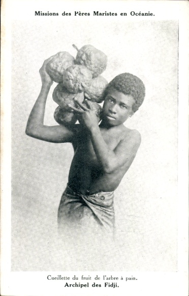 Postcard Fiji, Missions of the Marist Fathers, fruit picked from the breadfruit tree