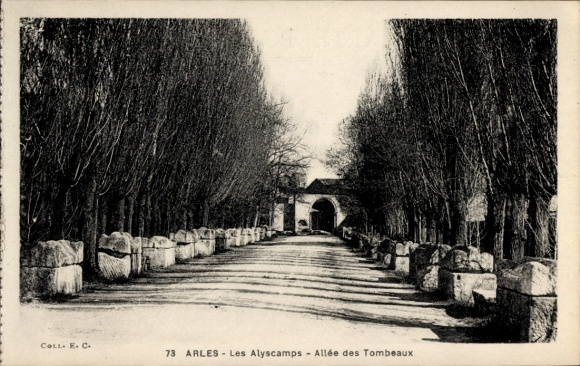 Ak Arles Bouches du Rhône, Allee des Tombeaux