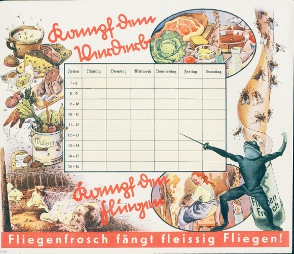 Timetable Advertisement Fly frog diligently catches flies, fights spoilage, protects food