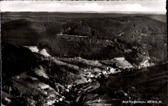 Ak Bad Rippoldsau Schapbach im Schwarzwald, Landschaftsansicht,  600 m ü. M., Wald, Felder, Fluss