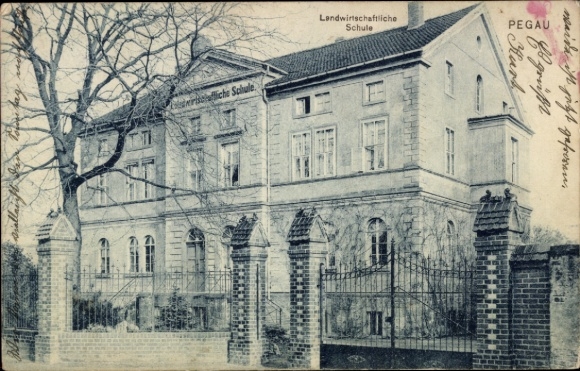 Postcard Pegau in Saxony, agricultural school, frozen pasture, tree, fence