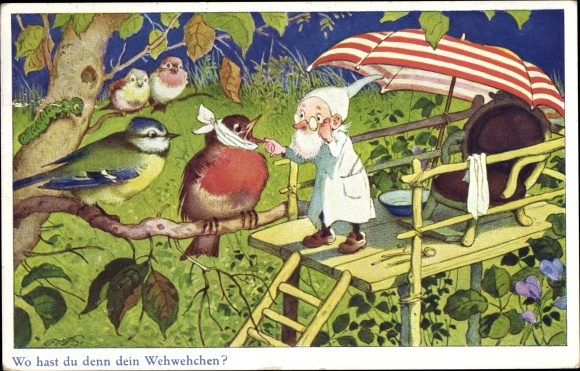 Artist Postcard Baumgarten, Fritz, Where are your ailments, dwarf, birds