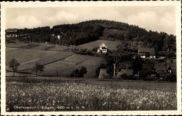 Ak Oberkipsdorf Altenberg im Erzgebirge, Landschaft mit Häusern, Wiesen, Wald, Erzgebirge, 600...