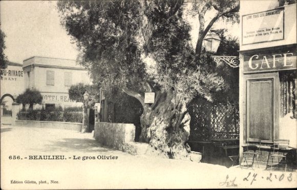 KP Beaulieu sur Mer Alpes Maritimes, gros Olivier, Café, U-Rivage, z 1903 r.