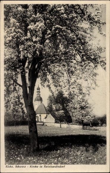 Ansichtkaart Schöna Reinhardtsdorf in Saksen, uitzicht op de kerk, boom