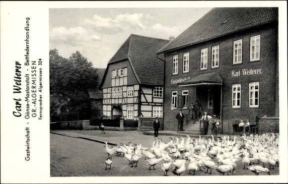 Postcard Algermissen in Lower Saxony, inn and geese fattening facility, bed feather business