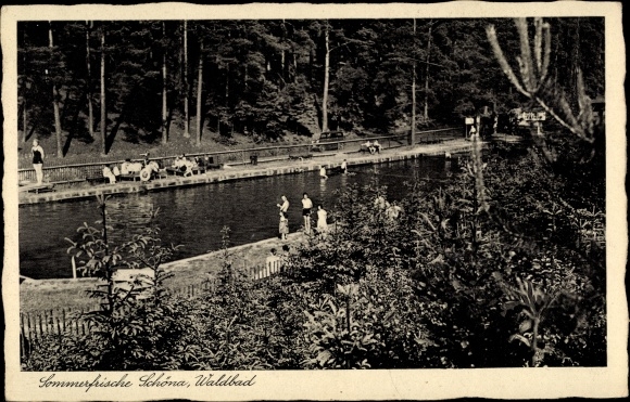 Ak Schöna Sächsische Schweiz, Waldbad