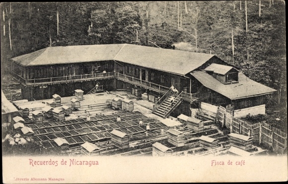 Ak Nicaragua, Finca de café