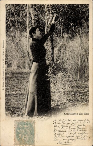 CPA Forêt en Nivernais, Cueillette du Gui