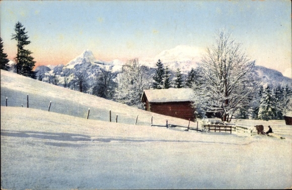 KP Gstaad Saanen Kanton Berno, krajobraz pokryty śniegiem, góry, drzewo, chata, pastwisko