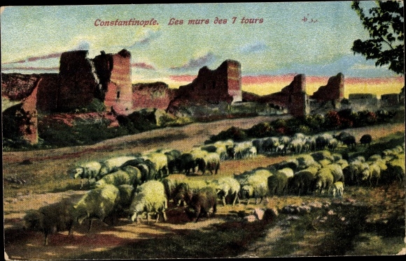 Postcard Constantinople Istanbul Türkiye, Les murs des 7 tours, flock of sheep