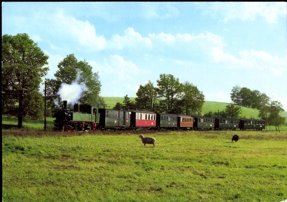 PC Berbisdorf Radeburg Saxony, traditional train Wiesental Promnitz, sheep