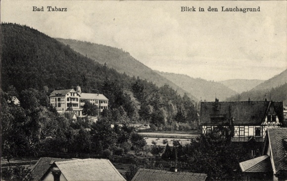 Ak Tabarz im Thüringer Wald, Blick in den Lauchagrund, Landschaft, Berge, Gebäude