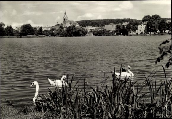 Ak Waldsieversdorf Märkische Schweiz, meer met zwanen, stadsgezicht, beboste heuvels, zonnig H