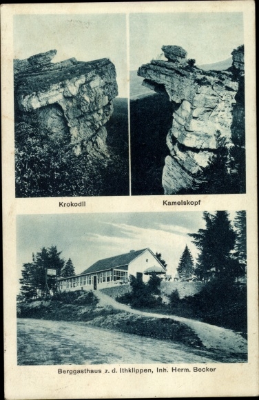 Postcard Alfeld an der Leine, mountain inn zd Ithklippen, owner Herm. Becker, camel head, crocodile