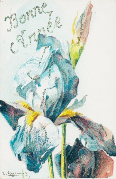 Glitter artist Postcard Klein, Catharina, Iris, blossom