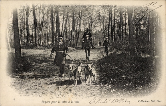 Ak Fontainebleau Seine et Marne, Hunde, Jagd, Reiter, Wald, Jagdfest