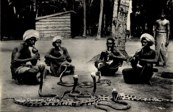 Postcard Ceylon Sri Lanka, snake charmer, snake charmer, cobras