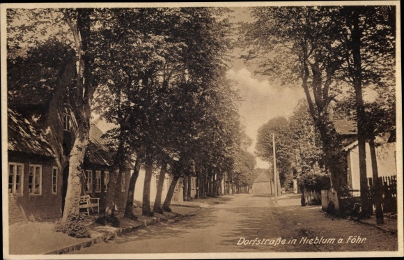 Ak Nieblum auf Föhr, Dorfstraße