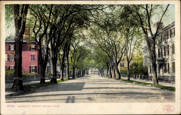 Postcard Salem Massachusetts USA, Chestnut Street