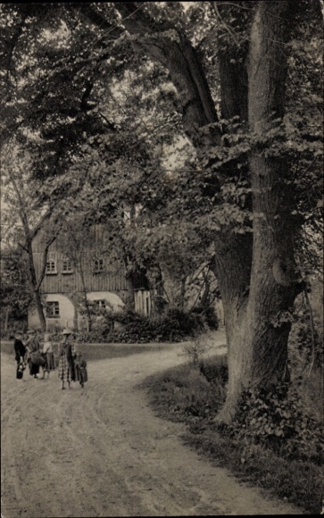 Postcard Lehndorf Panschwitz Kuckau Saxony, Old Linden Tree