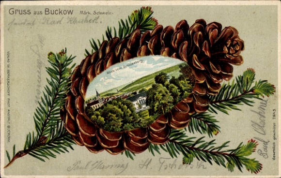 Pine cone litho Buckow in Märkische Schweiz, view from the Schlossberg